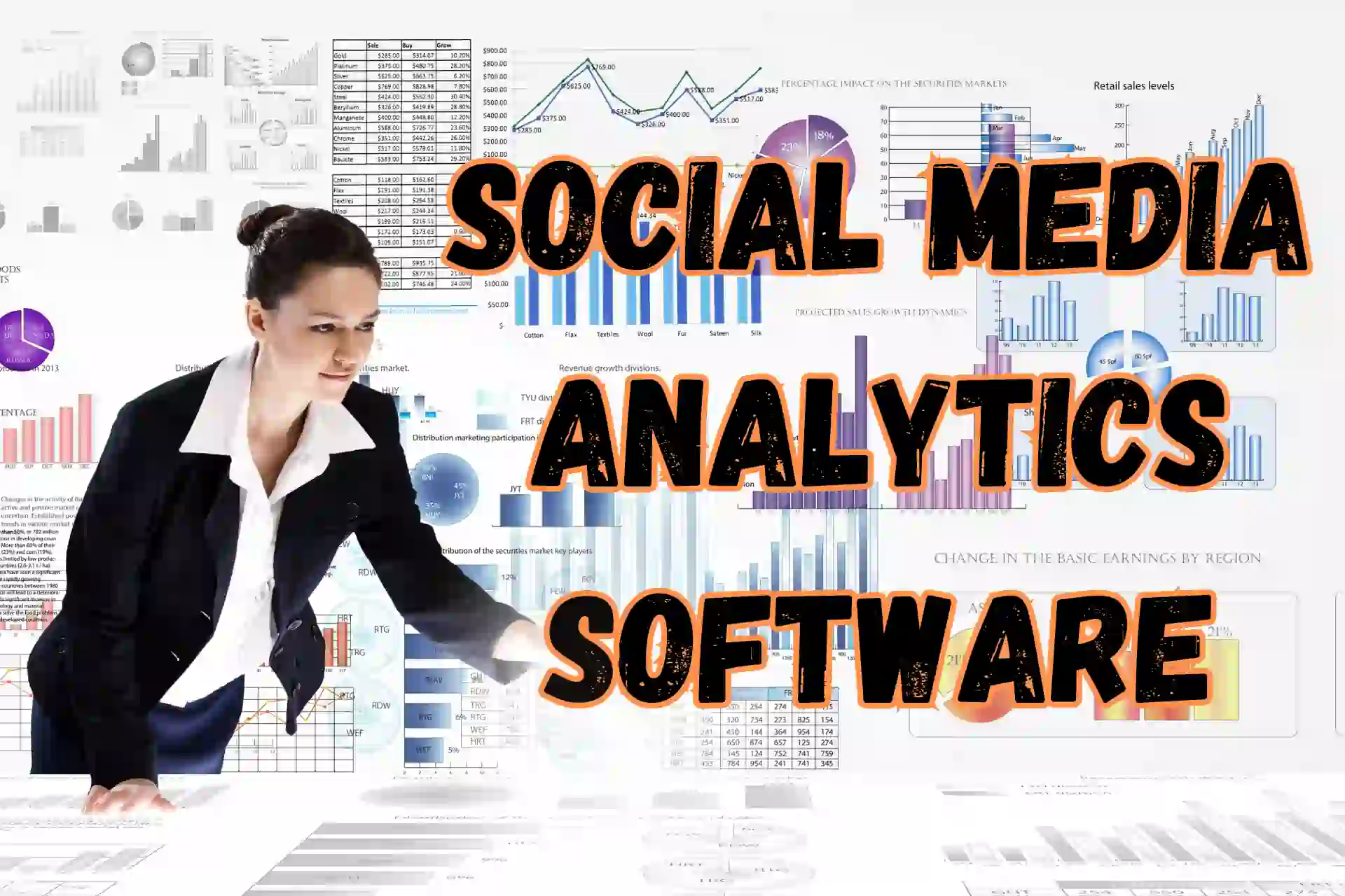 Social Media Analytics Software