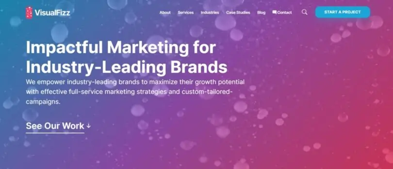 VisualFizz marketing agency