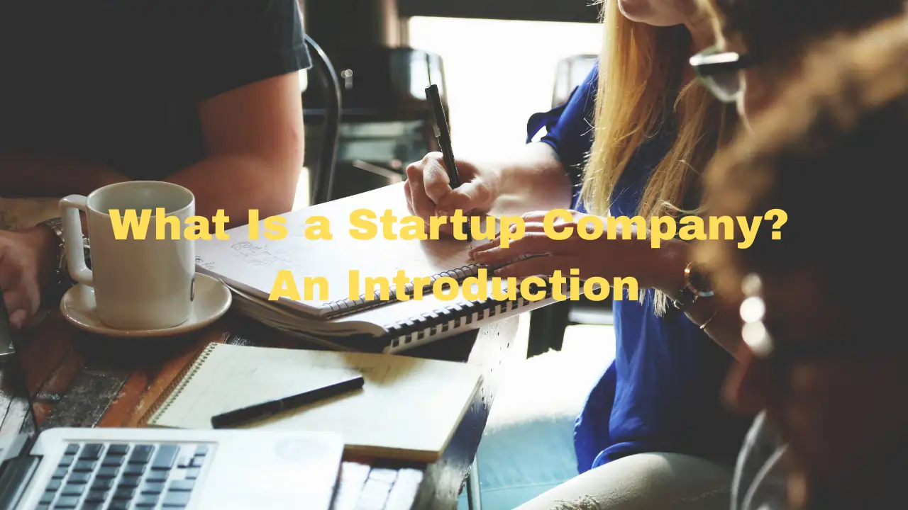What Is a Startup Company