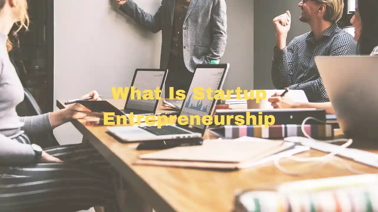 What Is Startup Entrepreneurship