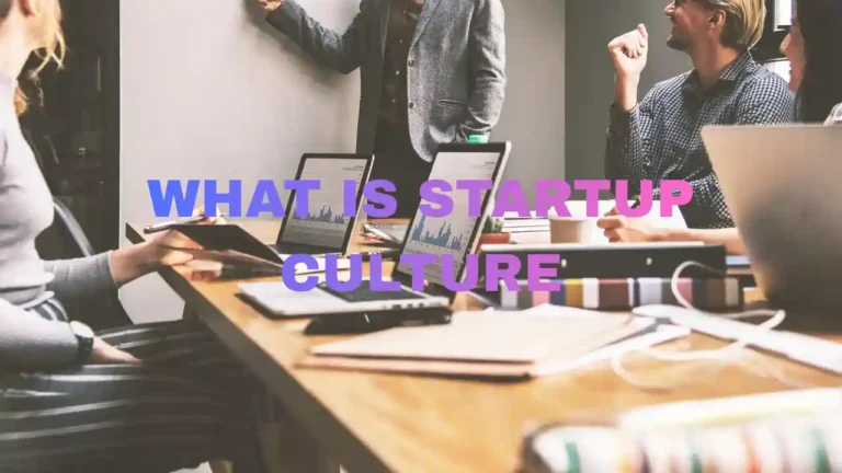 what is startup culture